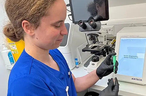 Vet using a diagnostic machine