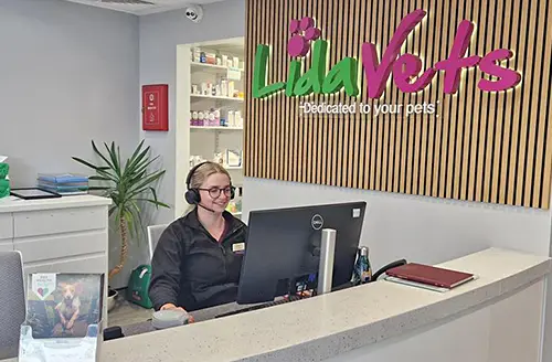 Our welcoming reception area