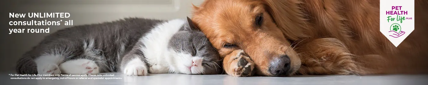 Cat and Dog Pet Health for Life Plans