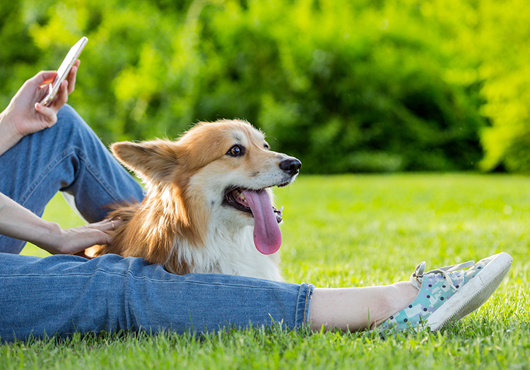 lida-vets-dog-owners
