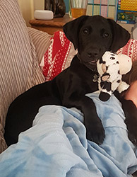 Rupert with his toy