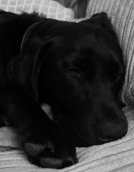Rupert when he became ill