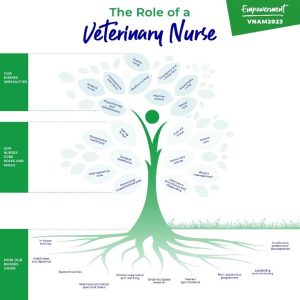 Role of a veterinary nurse tree