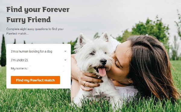 Here’s how to find your Pawfect Match