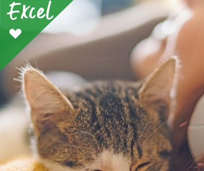 5 benefits to joining our Pet Health for Life Plan