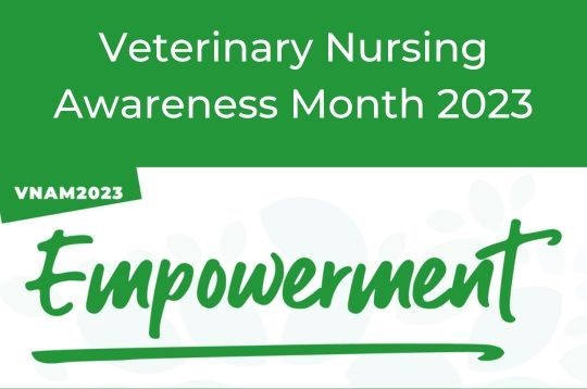 Veterinary Nursing Awareness Month at Lida Vets