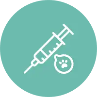 icon circle vaccinations