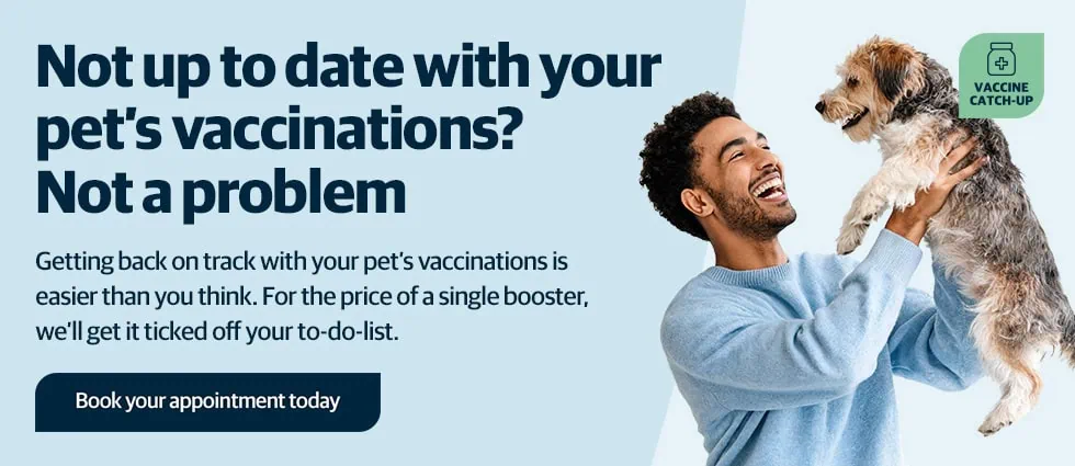 Lida Vets In Newmarket | Vets In Suffolk