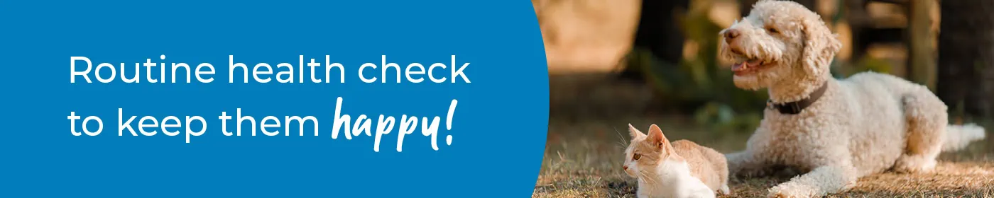 Pet Health Check in Newmarket | Preventative Vet Care