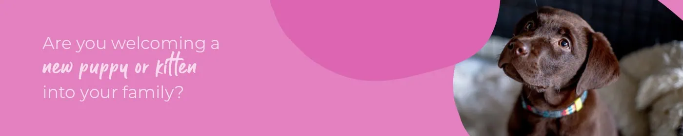 Start of Life for Your Puppy or Kitten