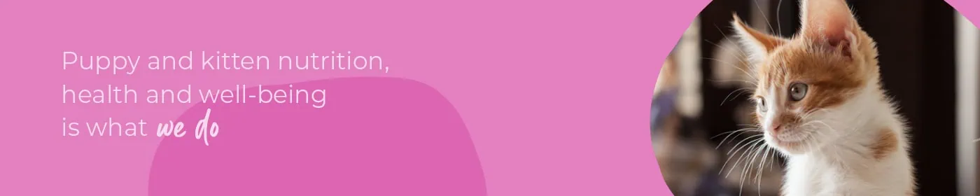 Start of Life for Your Puppy or Kitten