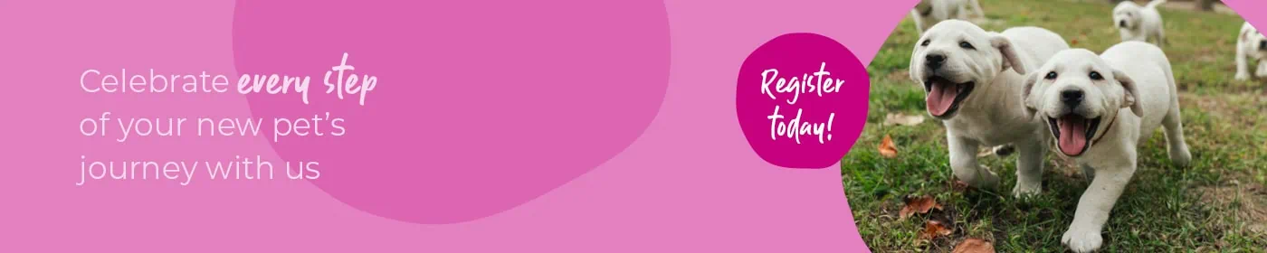 Start of Life for Your Puppy or Kitten