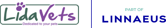 Lida Vets Logo