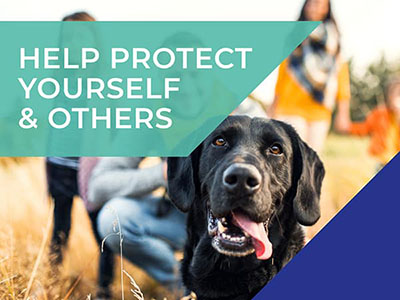 lida coronavirus update