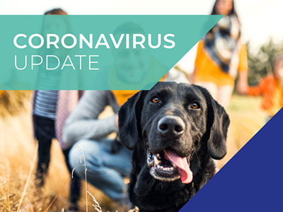 Lida Vets COVID-19 Update (April 1, 2020)