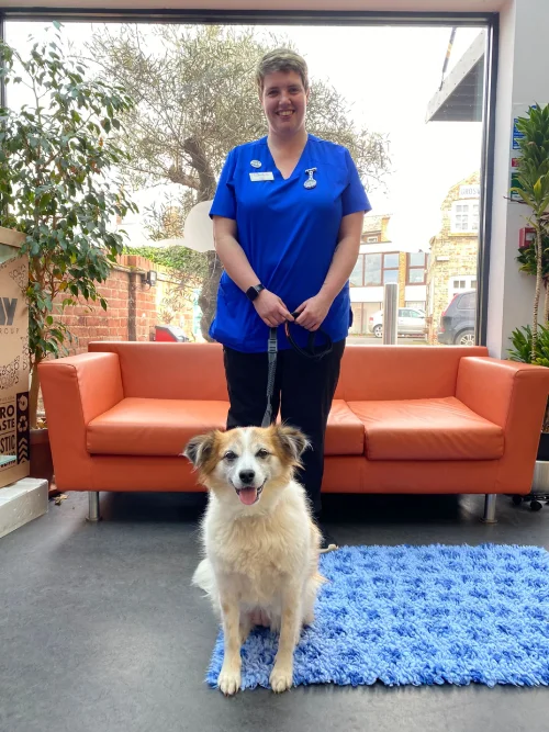 dog friendly practice in newmarket